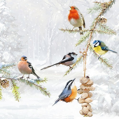 20 Servietten All Together - Vogelarten an Winterzweige 33x33cm