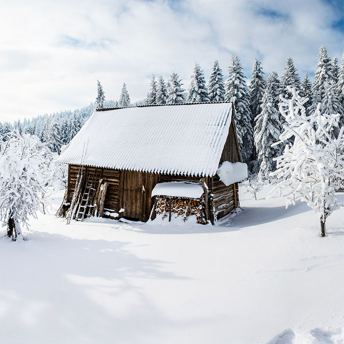 20 Servietten Winter Cabin - Holzhütte im Winterwald 33x33cm