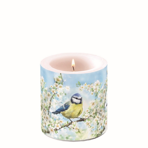 Kerze rund klein Blossom time  - Blaumeise an Frühlingszweige Ø 7,5cm, Höhe 9cm