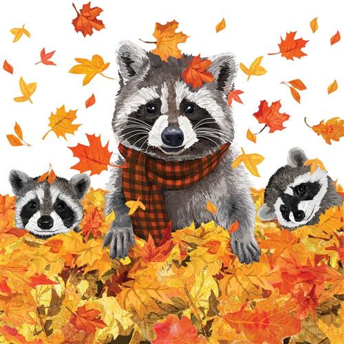 20 Servietten Rocky & Friends - Waschbären spielen im Herbst 33x33cm