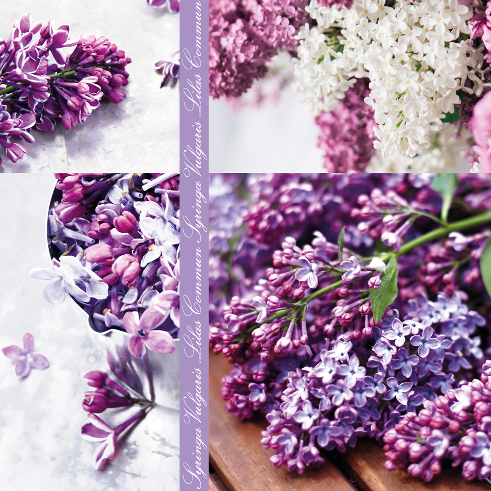 20 Servietten Syringa-Vulgaris - Flieder Collage 33x33cm