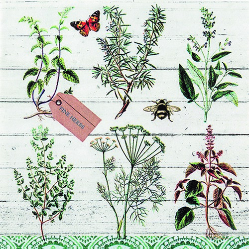 20 Servietten Floral Study - Pflanzenbestimmung 33x33cm