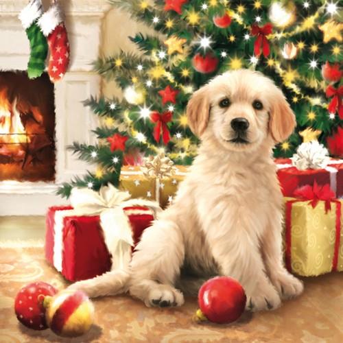 20 Servietten Waiting for Presents - Hund an Weihnachtsgeschenke 33x33cm