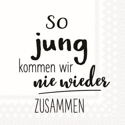 20 Servietten So jung kommen wir - Nie wieder zusammen 33x33cm