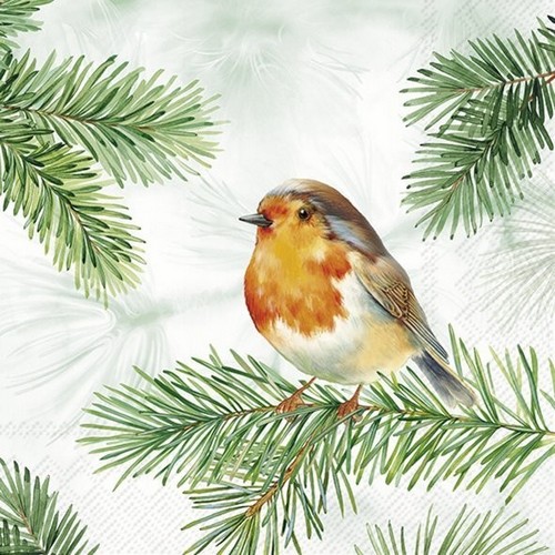 20 Servietten Charming Robin - Großes Rotkehlchen auf Zweig 33x33cm