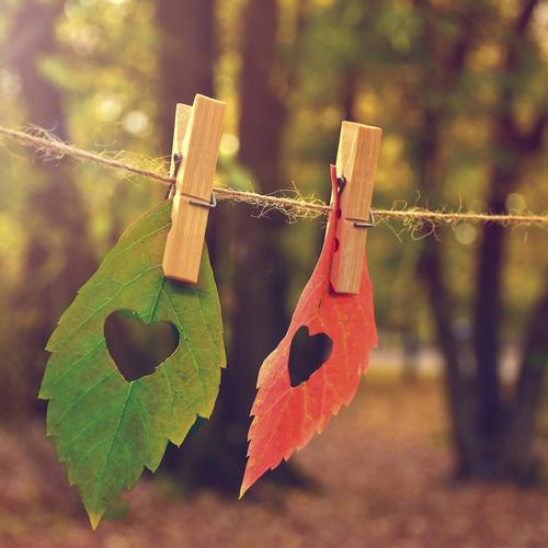 20 Servietten Love Fall 33x33cm