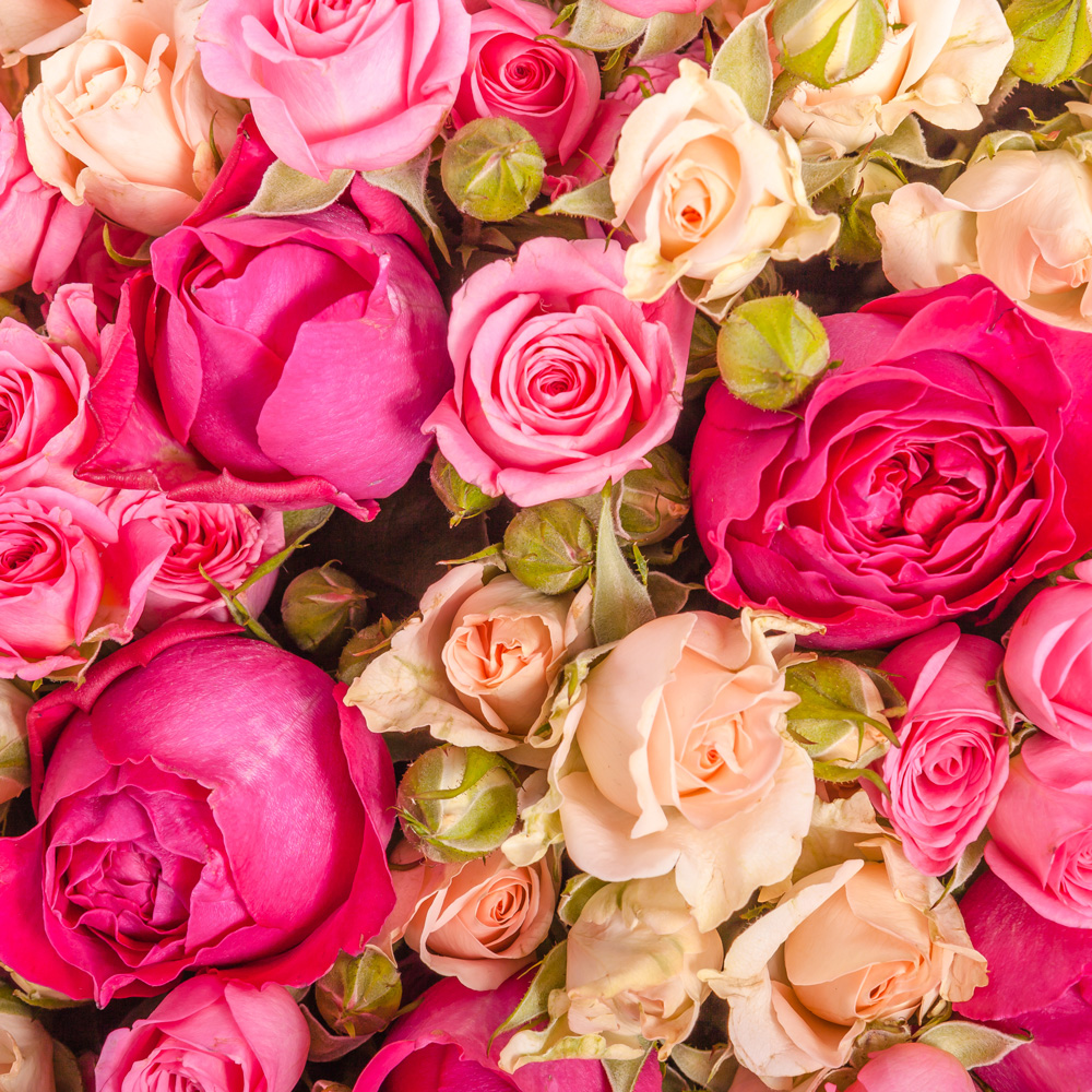 20 Servietten Bunch of Roses - Bunte Rosenvielfalt 33x33cm