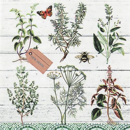20 Servietten Floral Study - Pflanzenbestimmung 33x33cm