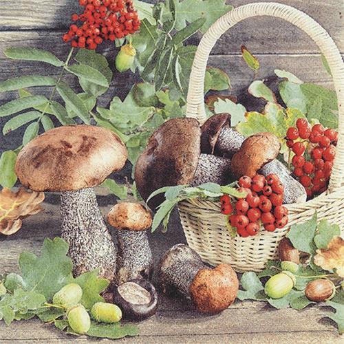 20 Servietten Fall Season - Pilze und Beeren sammeln 33x33cm