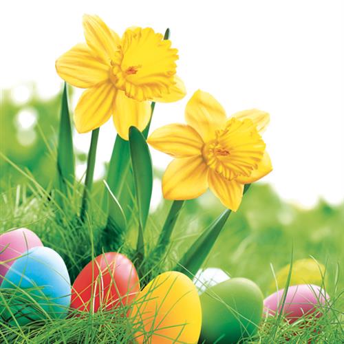 20 Servietten Daffodils with Colourful Eggs - Ostereier an gelben Narzissen 33x33cm