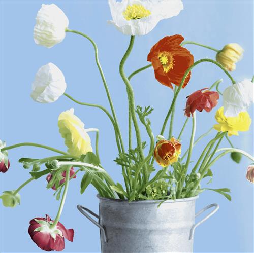 20 Servietten Poppies - Einzelne Blumen im Eimer 33x33cm