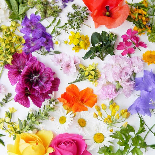 20 Servietten Bloom Canvas - Leinwand an bunten Blumen 33x33cm