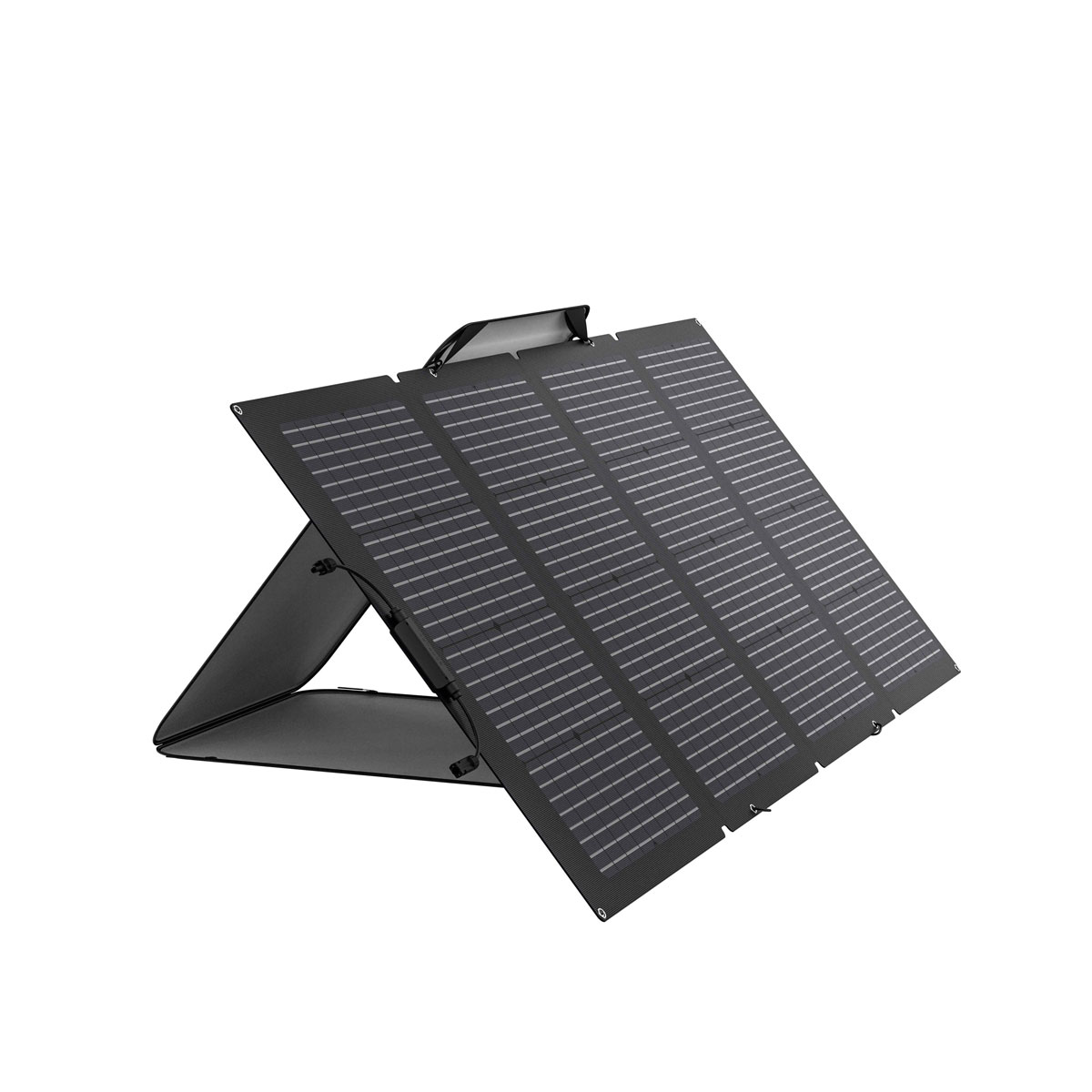 EcoFlow Solar Panel 220W faltbares Solarmodul mit Tragetasche