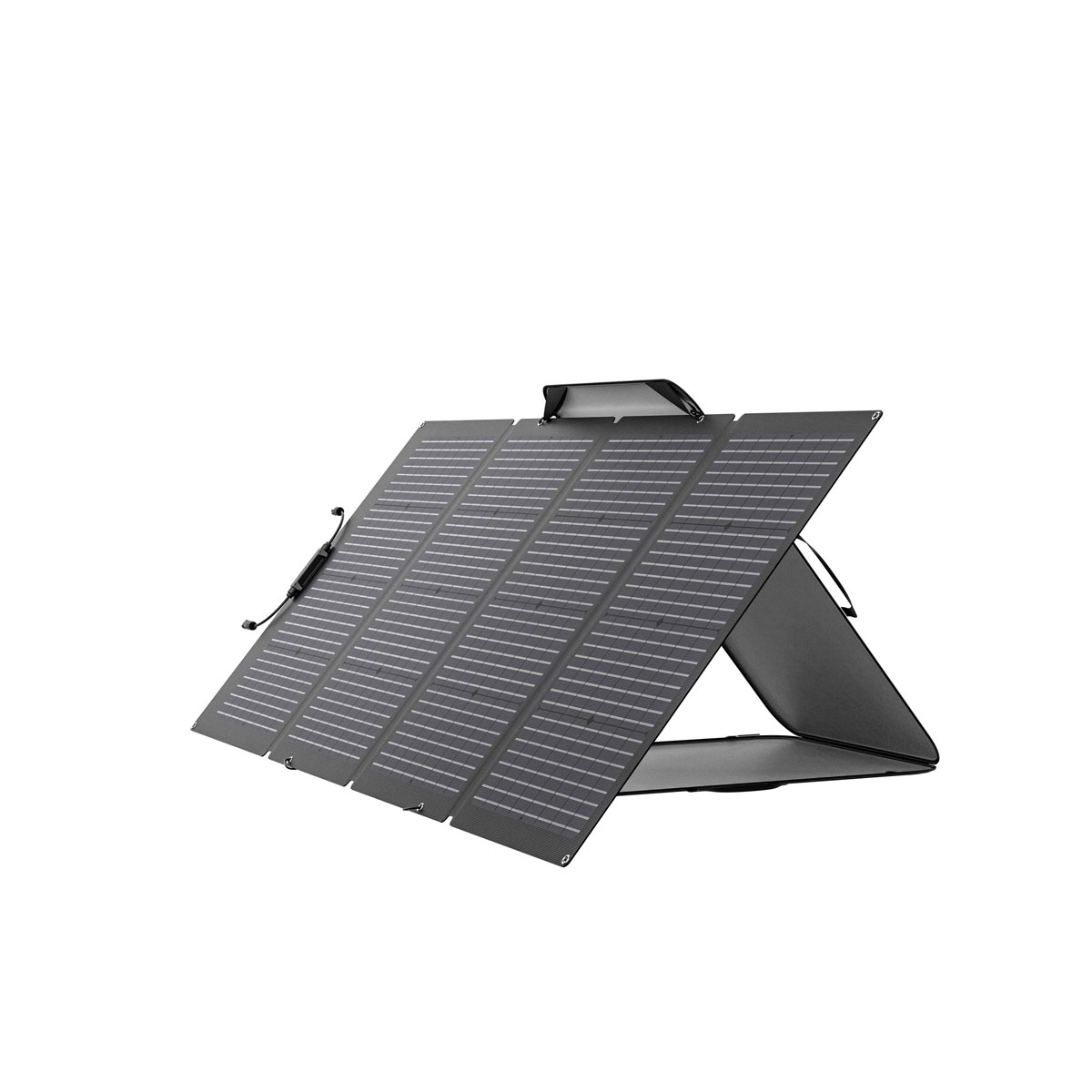 EcoFlow Solar Panel 220W faltbares Solarmodul mit Tragetasche