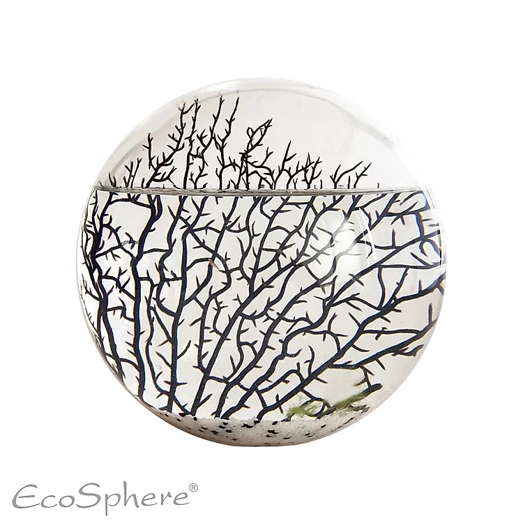 Ecosphere Extra große Kugel 23cm - weiß -  Ecosphere Extra große Kugel 23cm - weiß -