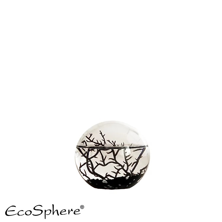 Ecosphere kleine Kugel 10cm - schwarz -  