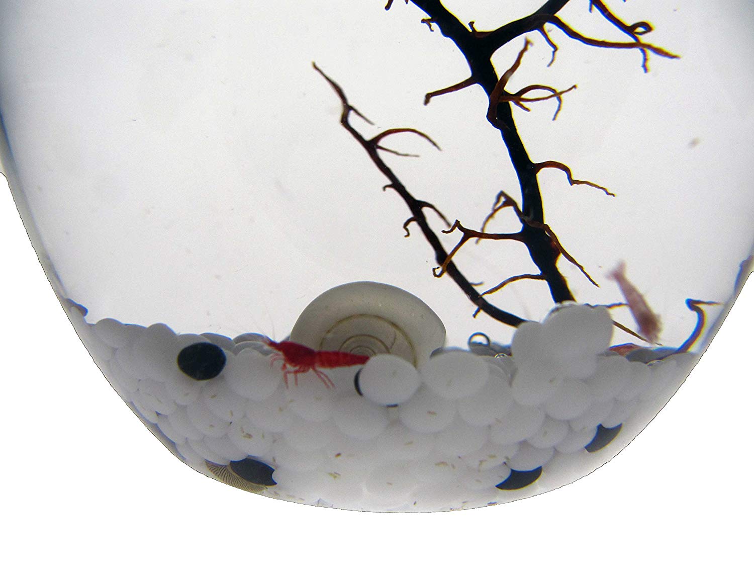 Ecosphere Kugel 10cm + 13cm Oval - weiß - 