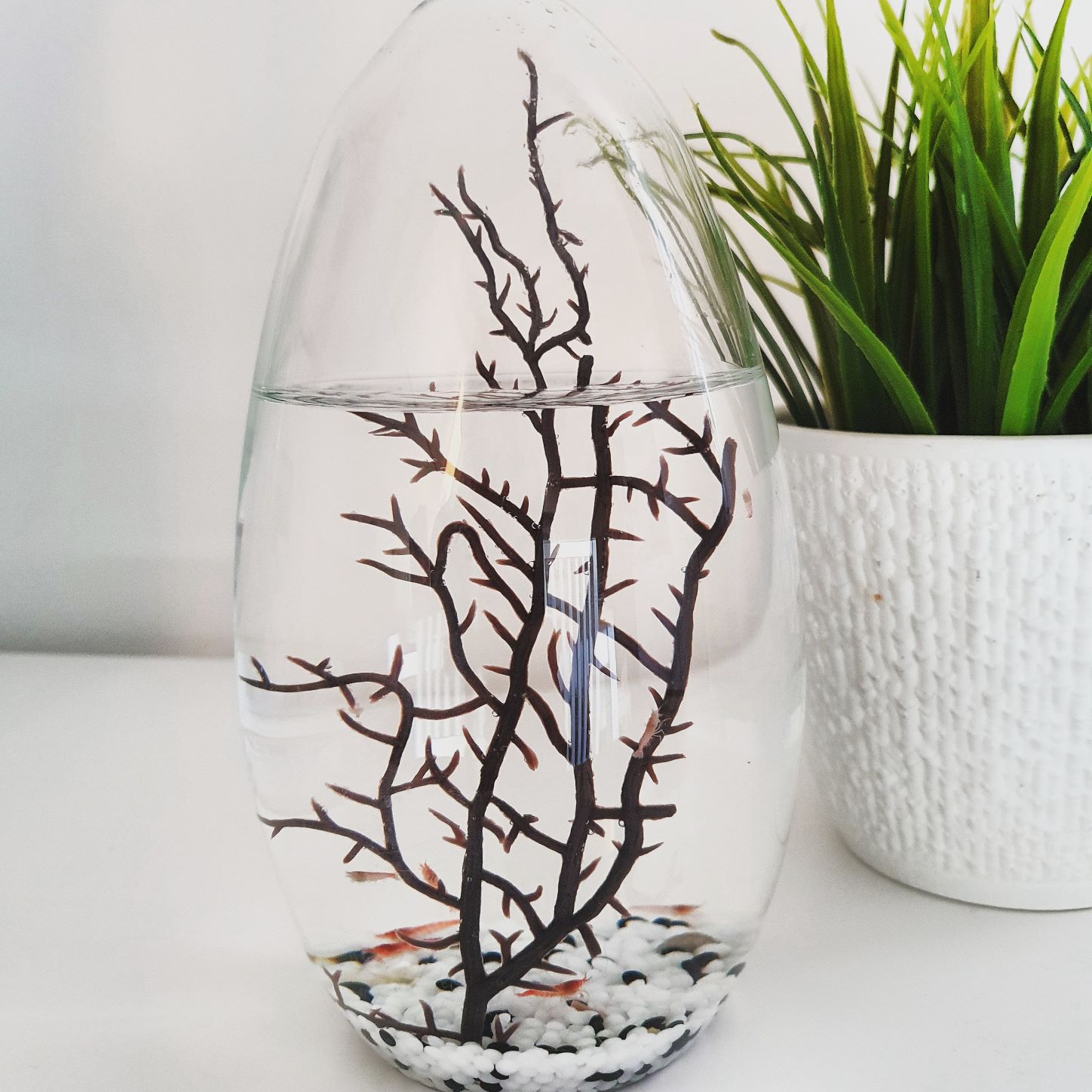 Ecosphere Ei 19cm - blau - 