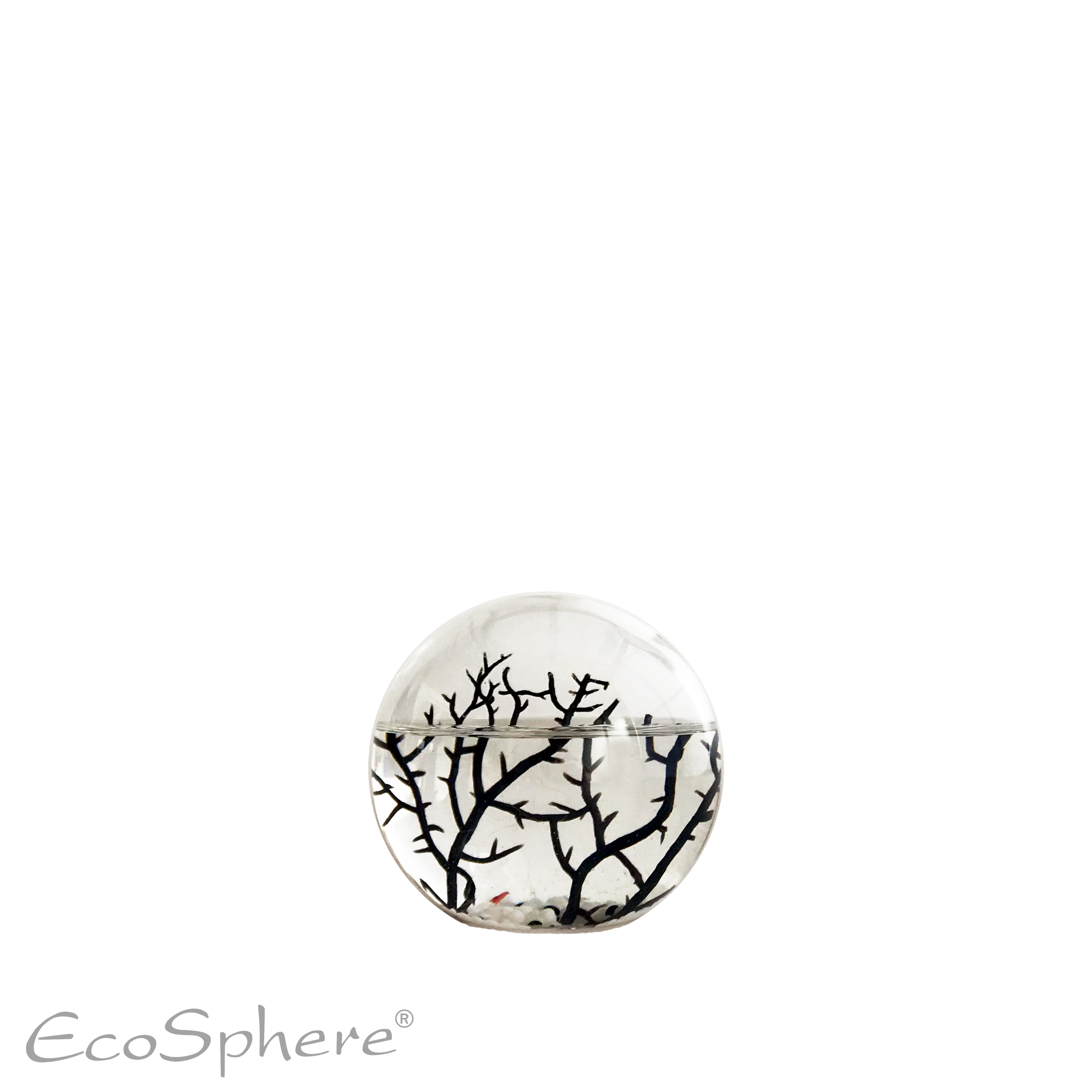 Ecosphere 10cm kleine Kugel weiß 
