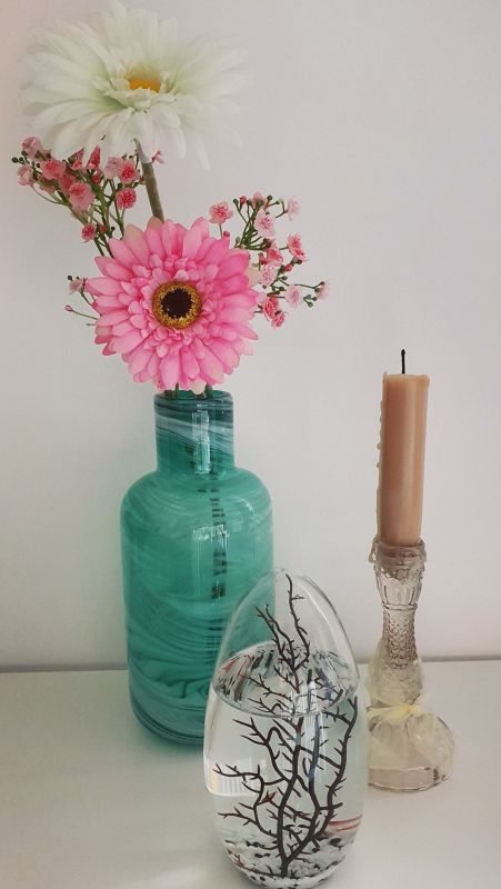 Geschlossenes Aquarium Mit LED-Basis - Mini-Ökosystem Für Zuhause