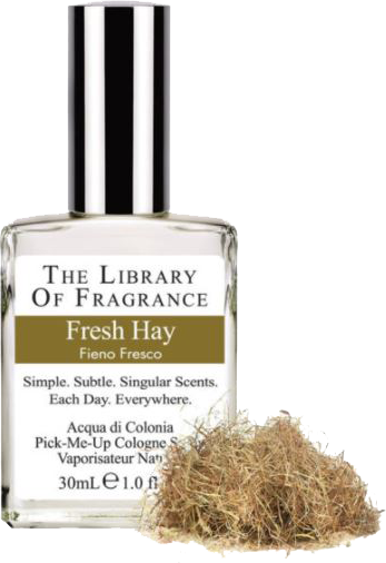 Library of Fragrance Fresh Hay ohne Hintergrund