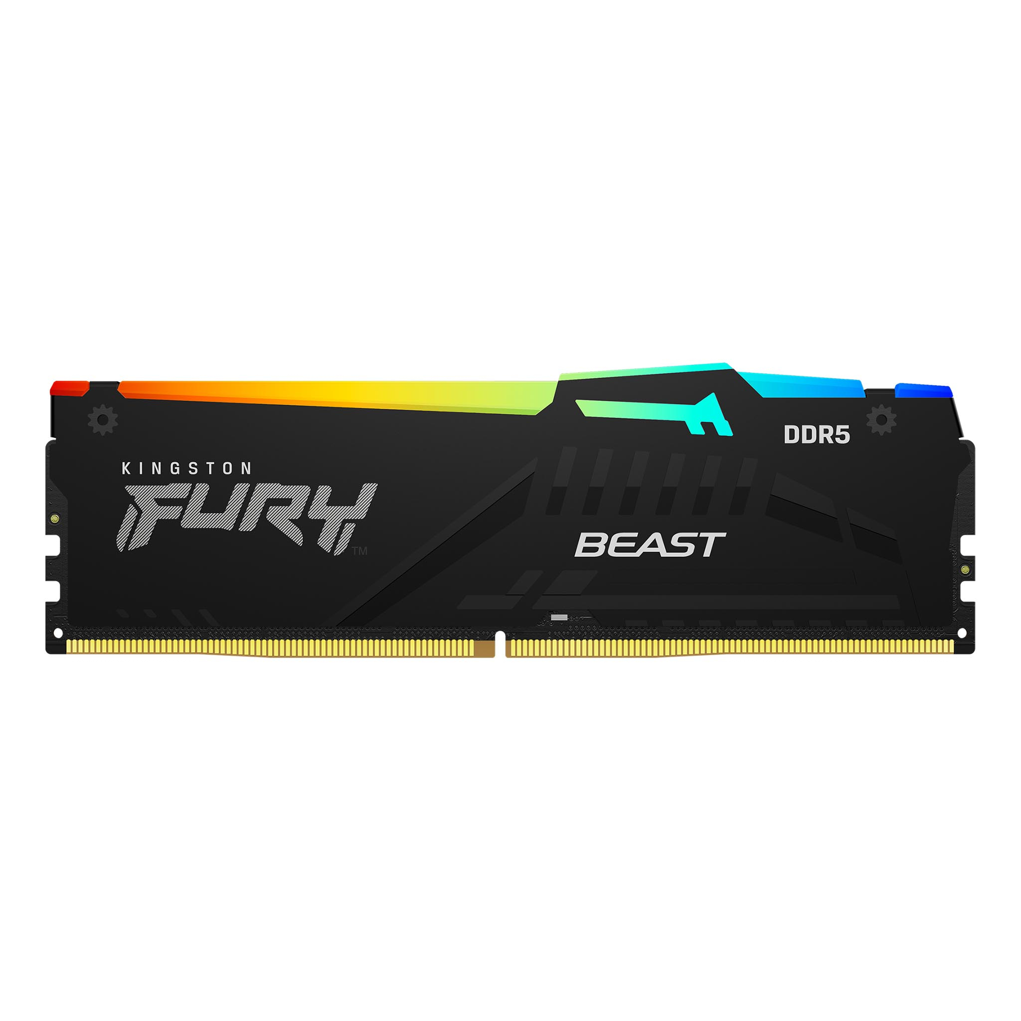 Kingston FURY Beast RGB - DDR5 - Modul - 32 GB