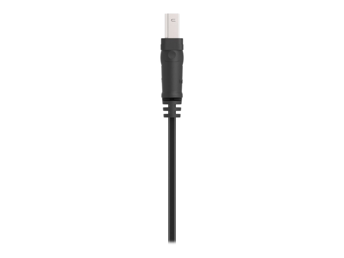 Belkin 10ft USB A/B Device Cable - USB-Kabel - USB (M)