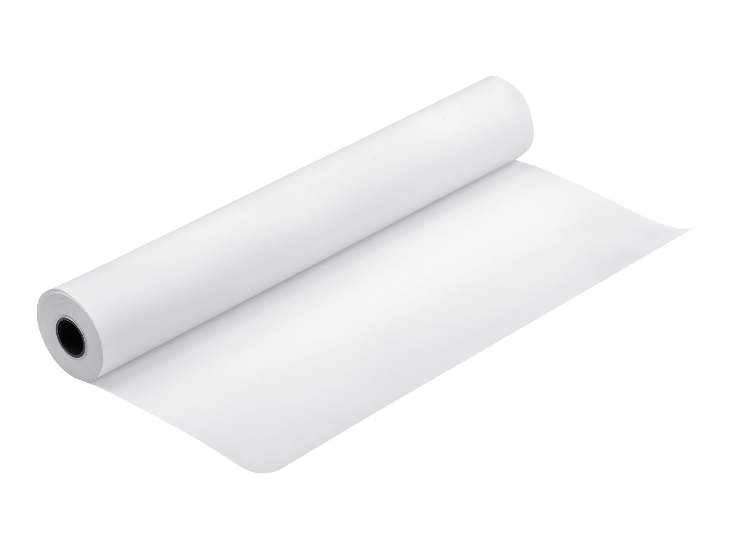 Epson Proofing Paper - Seidenmatt - harzbeschichtet - 9,9 mil - weiß - Rolle A1 (61,0 cm x 30,5 m)