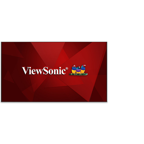 ViewSonic CDE9800 - 248.9 cm (98") Diagonalklasse (247.9 cm (97.6")