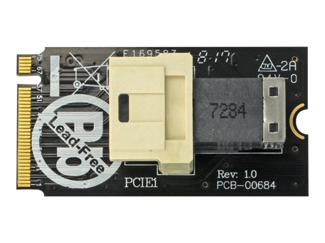 Delock Adapter M.2 Key M > SFF-8643 NVMe horizontal 2242 - Schnittstellenadapter - 2.5" (6.4 cm)