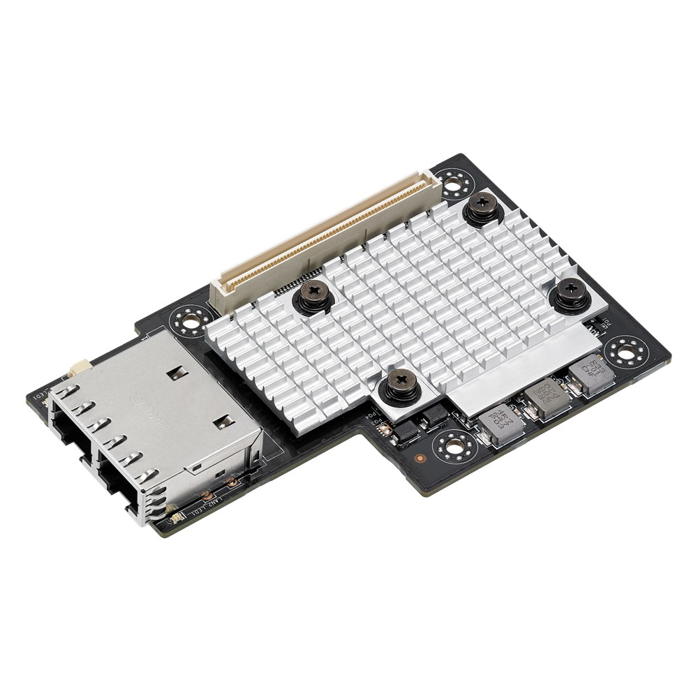 ASUS MCI-10G/X550-2T - Netzwerkadapter - PCIe 3.0 x4 Mezzanine