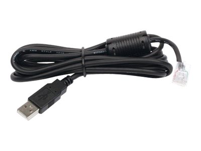 APC USB-Kabel - USB (M) zu RJ-45 (10-polig) (M)
