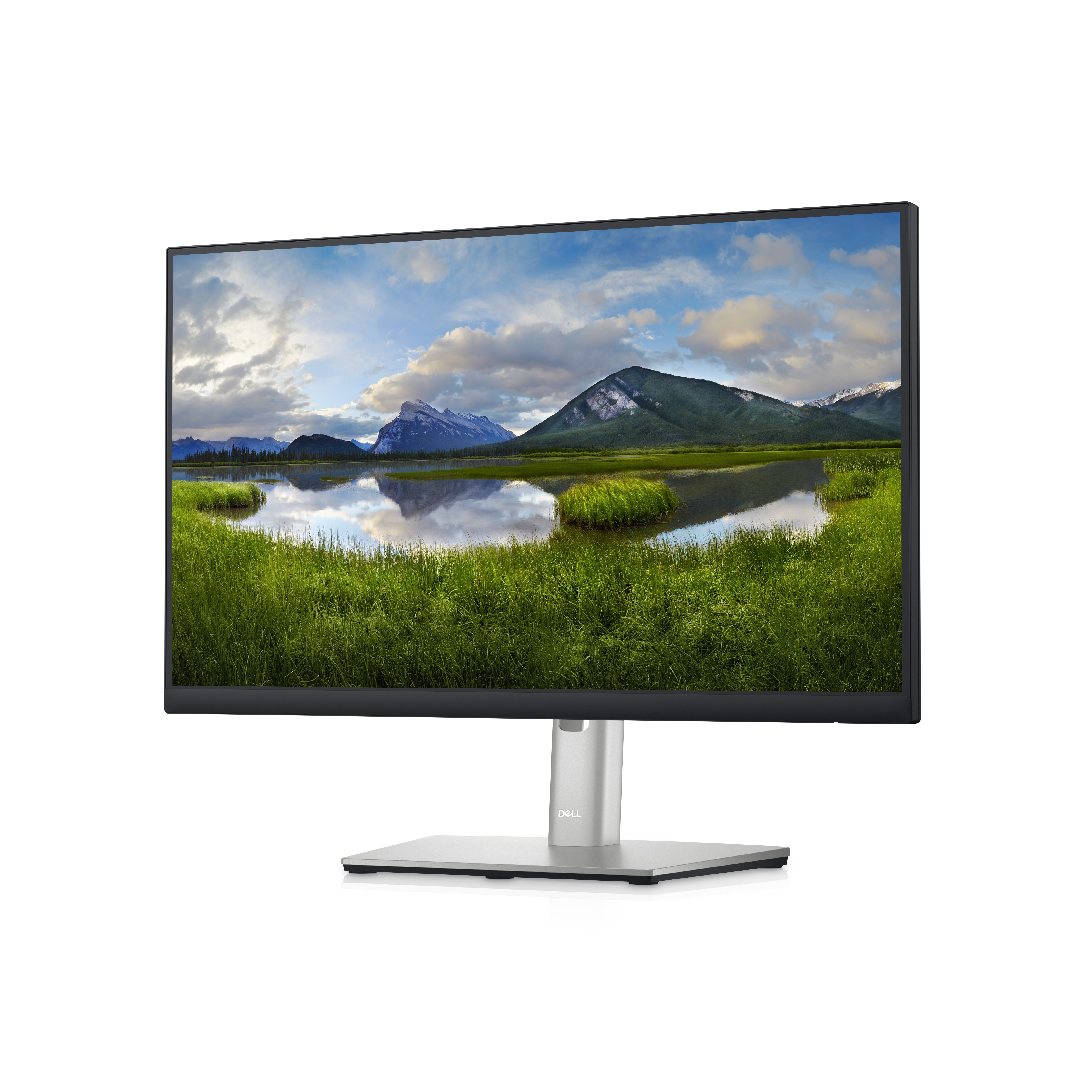 Dell P2223HC - LED-Monitor - 54.6 cm (21.5") - 1920 x 1080 Full HD (1080p)