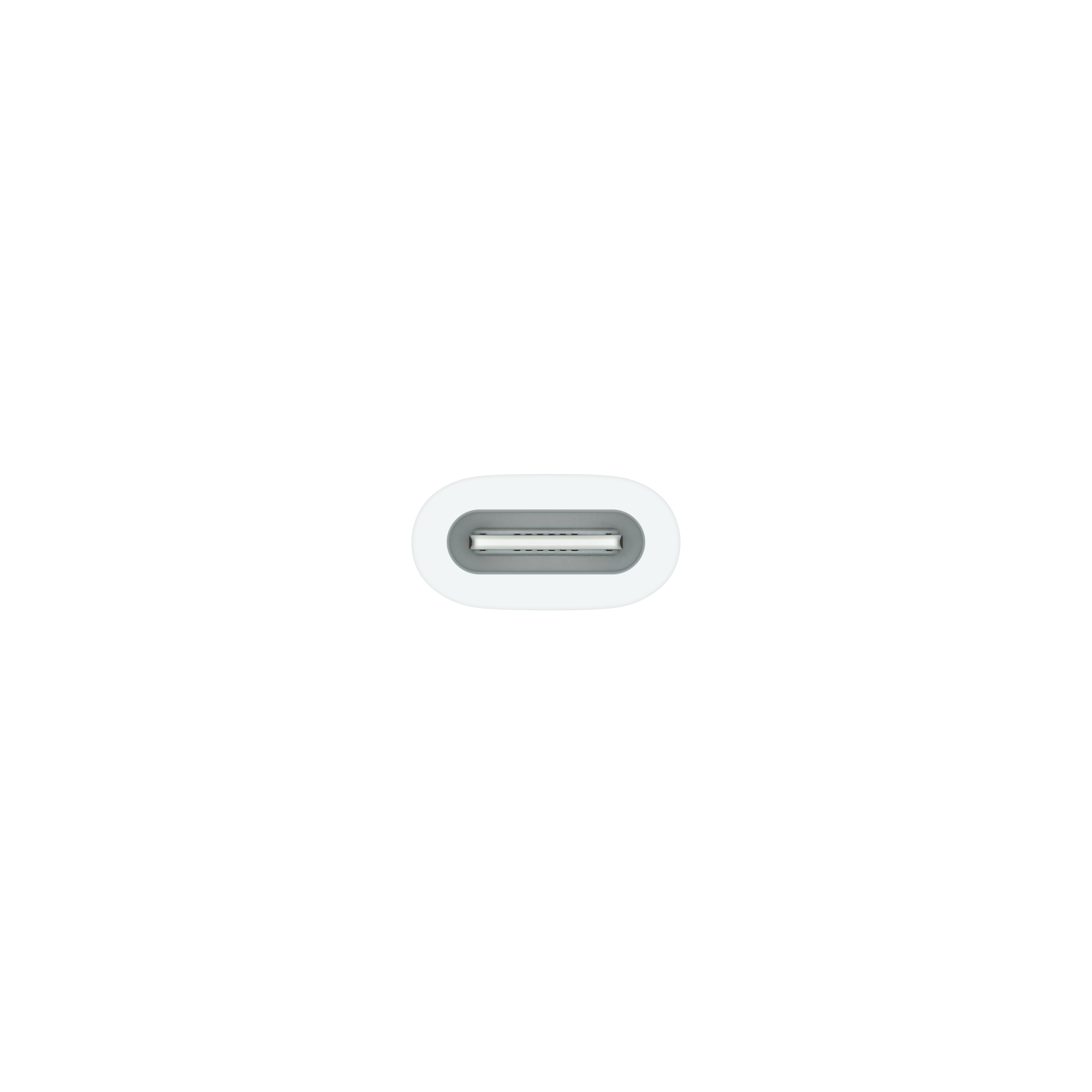 Apple Lightning Adapter - 24 pin USB-C weiblich zu Lightning weiblich - für 10.9-inch iPad (10. Generation)
