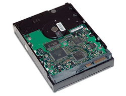 HP  Festplatte - 2 TB - intern - 3.5" (8.9 cm)