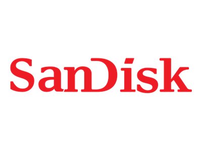 Lenovo SanDisk AF3 - Flash-Speicherkarte - 64 GB - SD