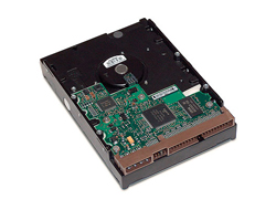 HP  Festplatte - 1 TB - intern - 3.5" (8.9 cm)