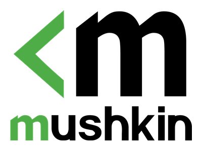 Mushkin Essentials - DDR3 - kit - 16 GB: 2 x 8 GB