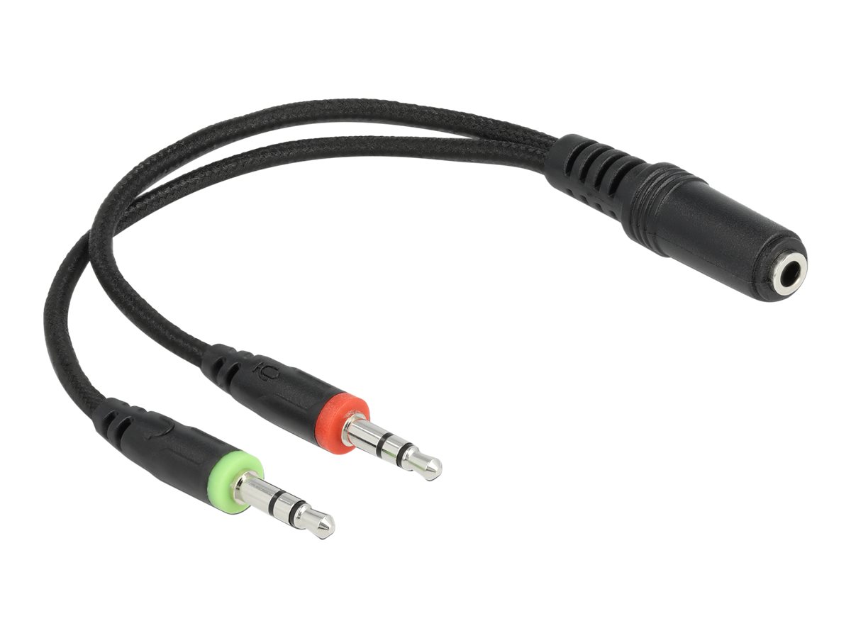 Delock Headset - ohrumschließend - kabelgebunden