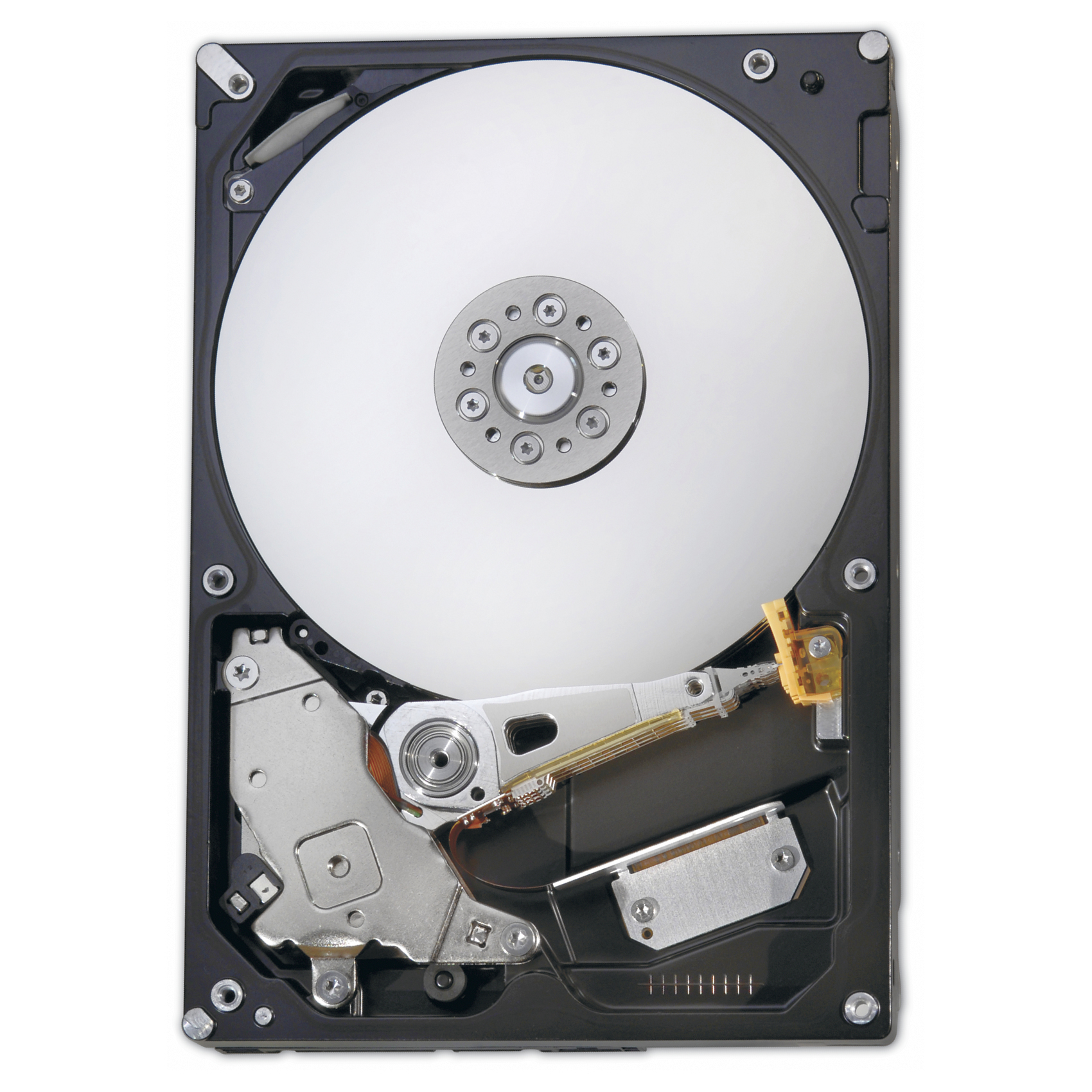 Fujitsu enterprise - Festplatte - 900 GB - Hot-Swap - 2.5" (6.4 cm)