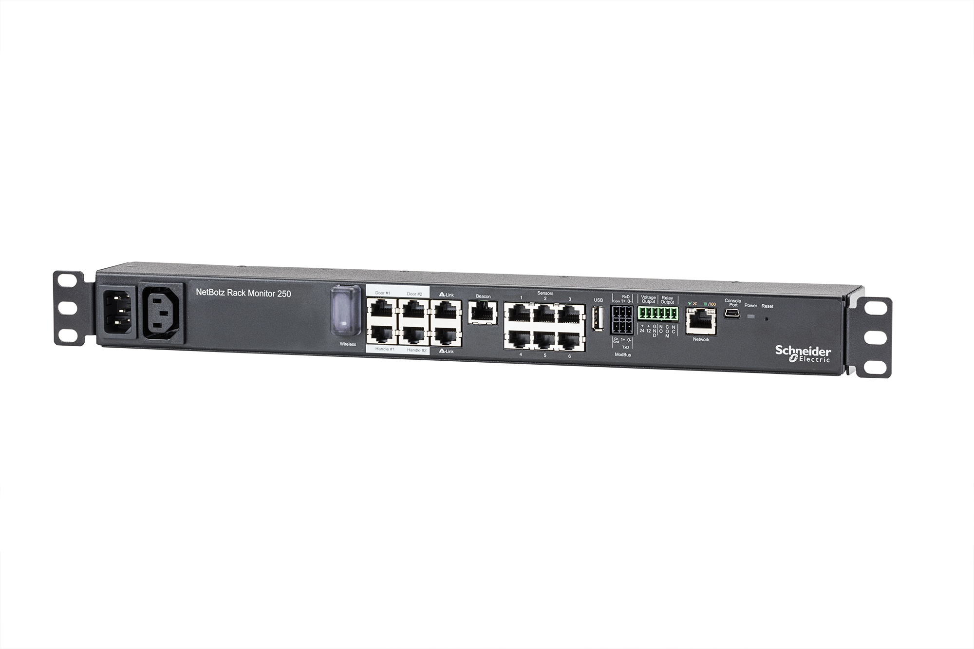 APC NetBotz Rack Monitor 250 - Gerät zur Umgebungsüberwachung
