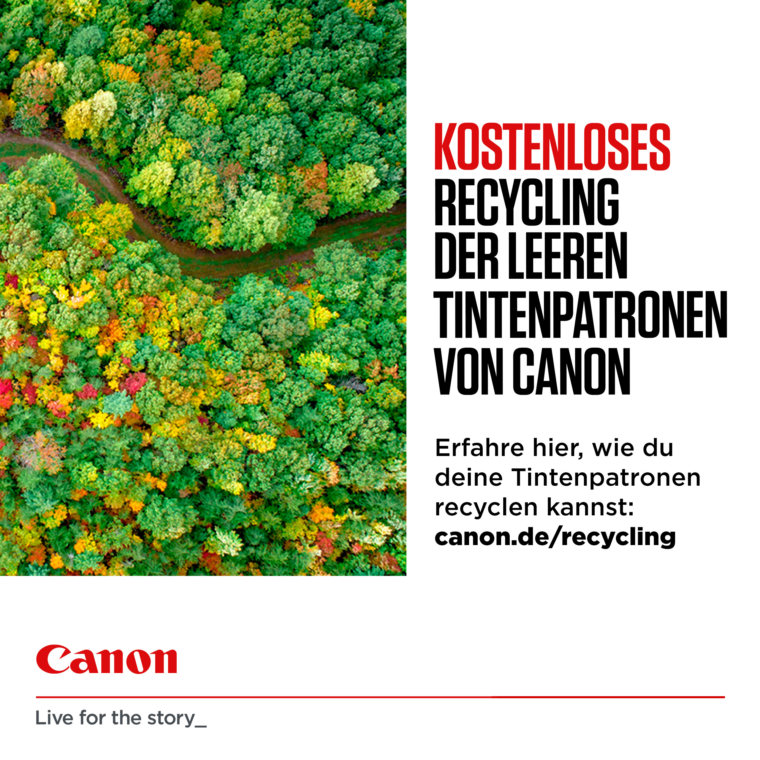Canon PG-545XL - 15 ml - Hohe Ergiebigkeit - Schwarz