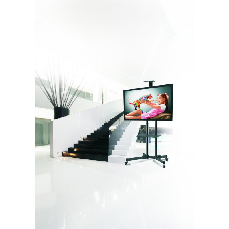 Reflecta 70VCE-Shelf - Aufstellung - für TV - Bildschirmgröße: 94-177.8 cm (37"-70")