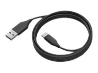 Jabra PanaCast - USB-Kabel - 24 pin USB-C (M)