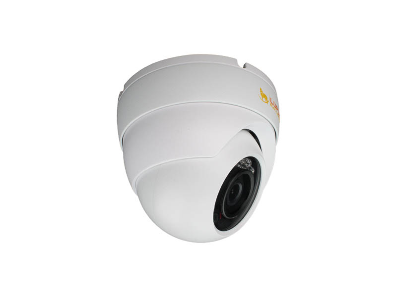Lupus GEODOME LE 337HD - Überwachungskamera - Kuppel