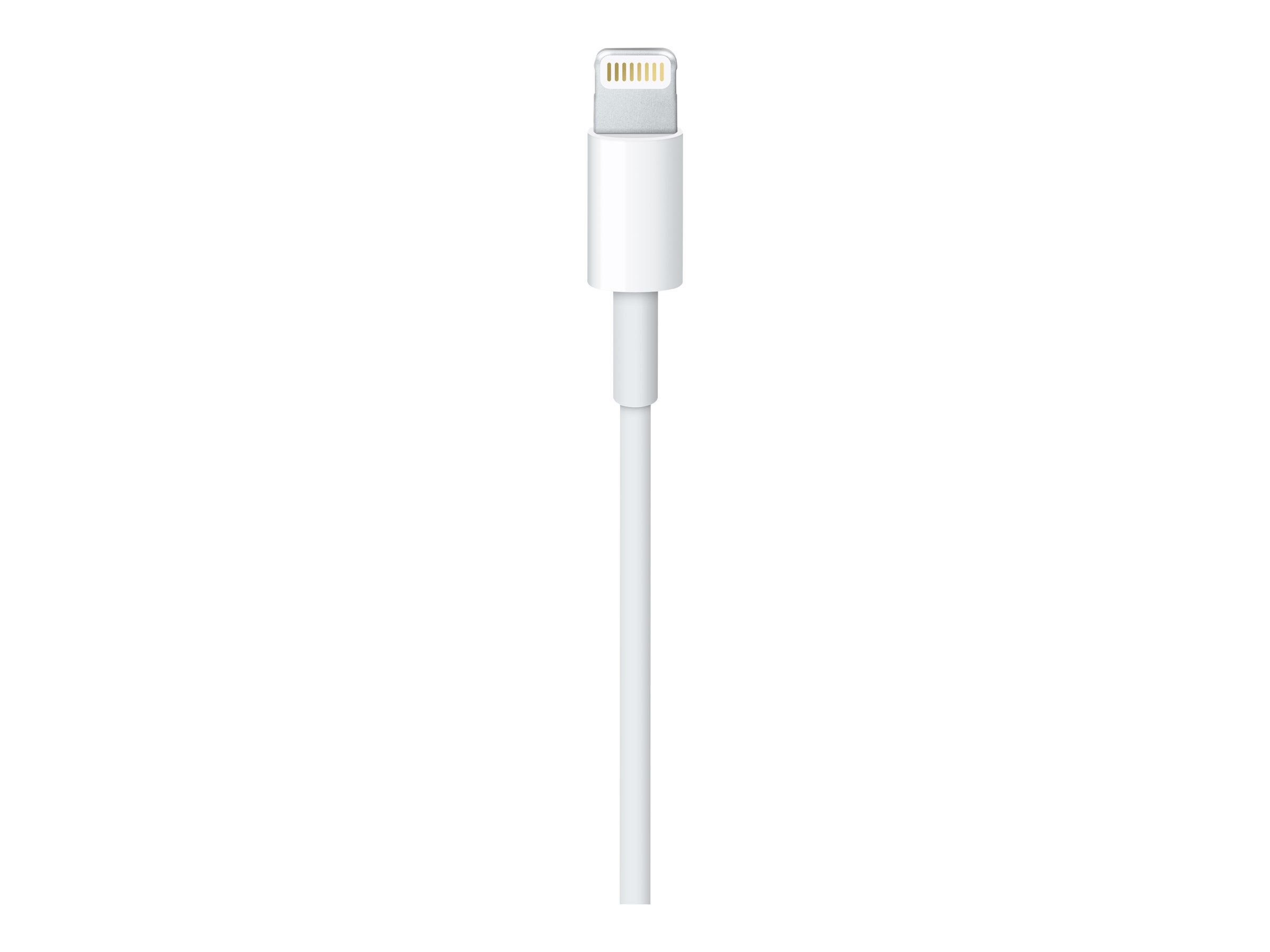 Apple Lightning-Kabel - Lightning männlich bis USB männlich - 50 cm - für iPad/iPhone/iPod (Lightning)