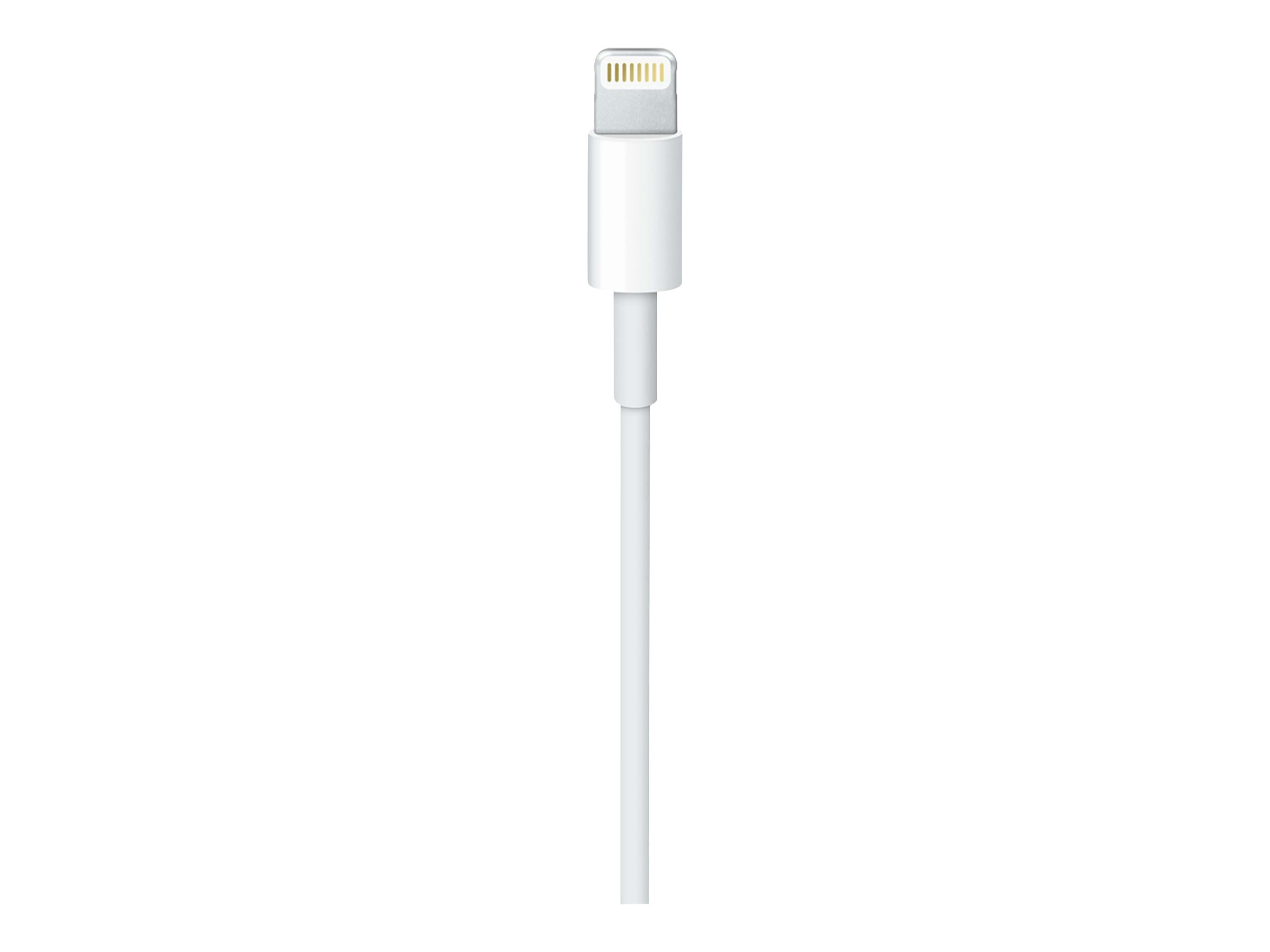 Apple USB-C to Lightning Cable - Lightning-Kabel - 24 pin USB-C männlich zu Lightning männlich - 1 m - für Apple iPad/iPhone/iPod (Lightning)
