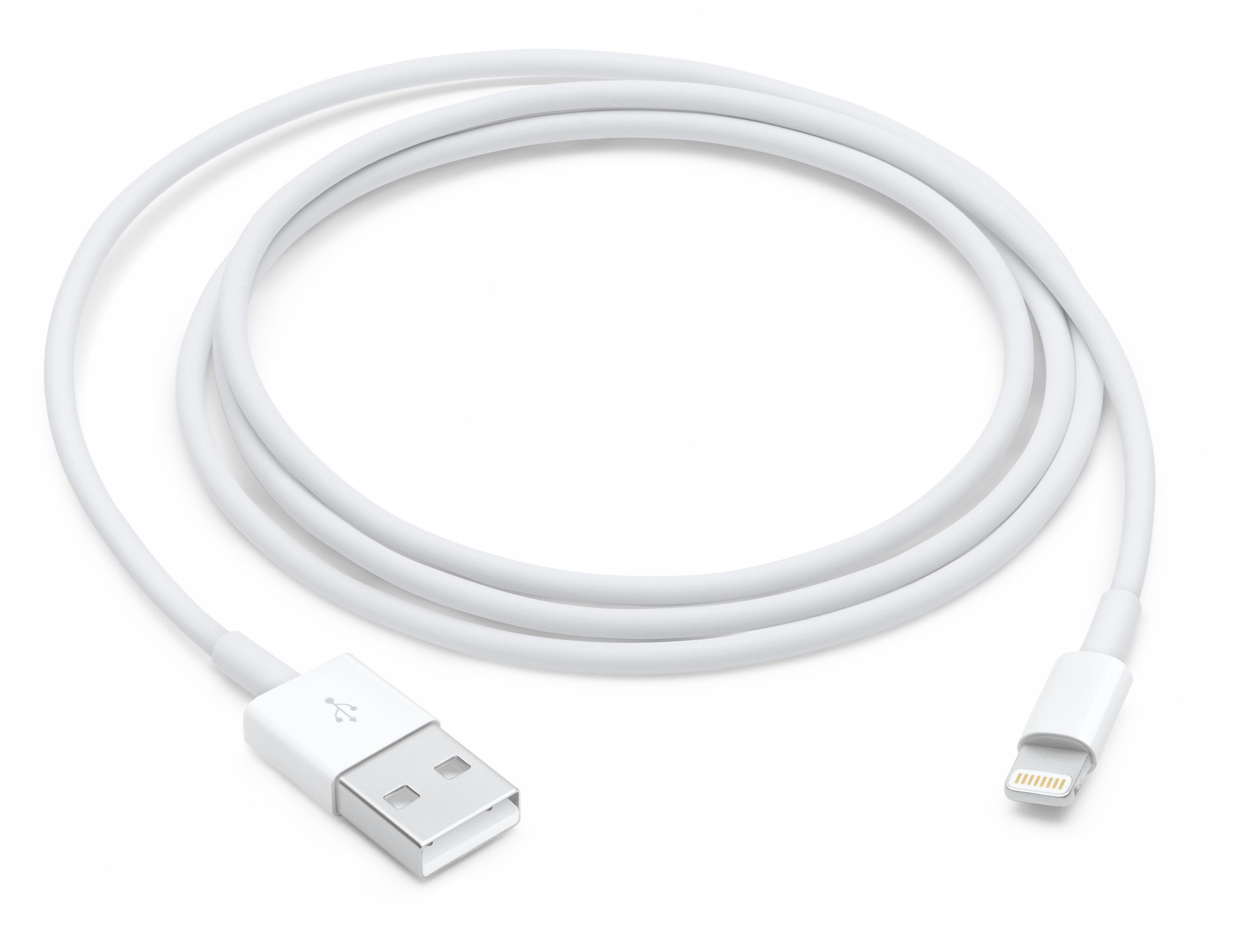 Apple Lightning-Kabel - Lightning männlich zu USB männlich - 1 m - für Apple iPad/iPhone/iPod (Lightning)