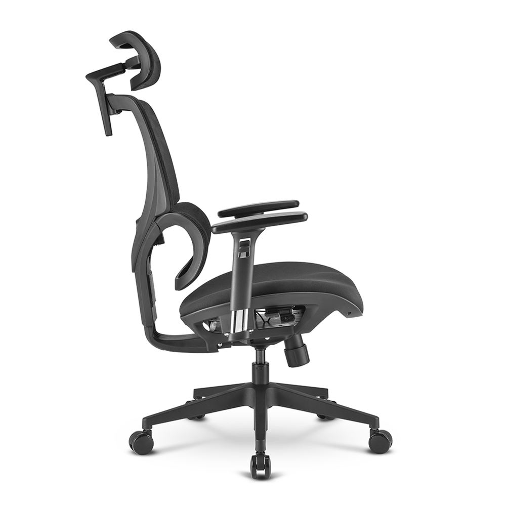 Sharkoon OfficePal C30 - Stuhl - ergonomisch