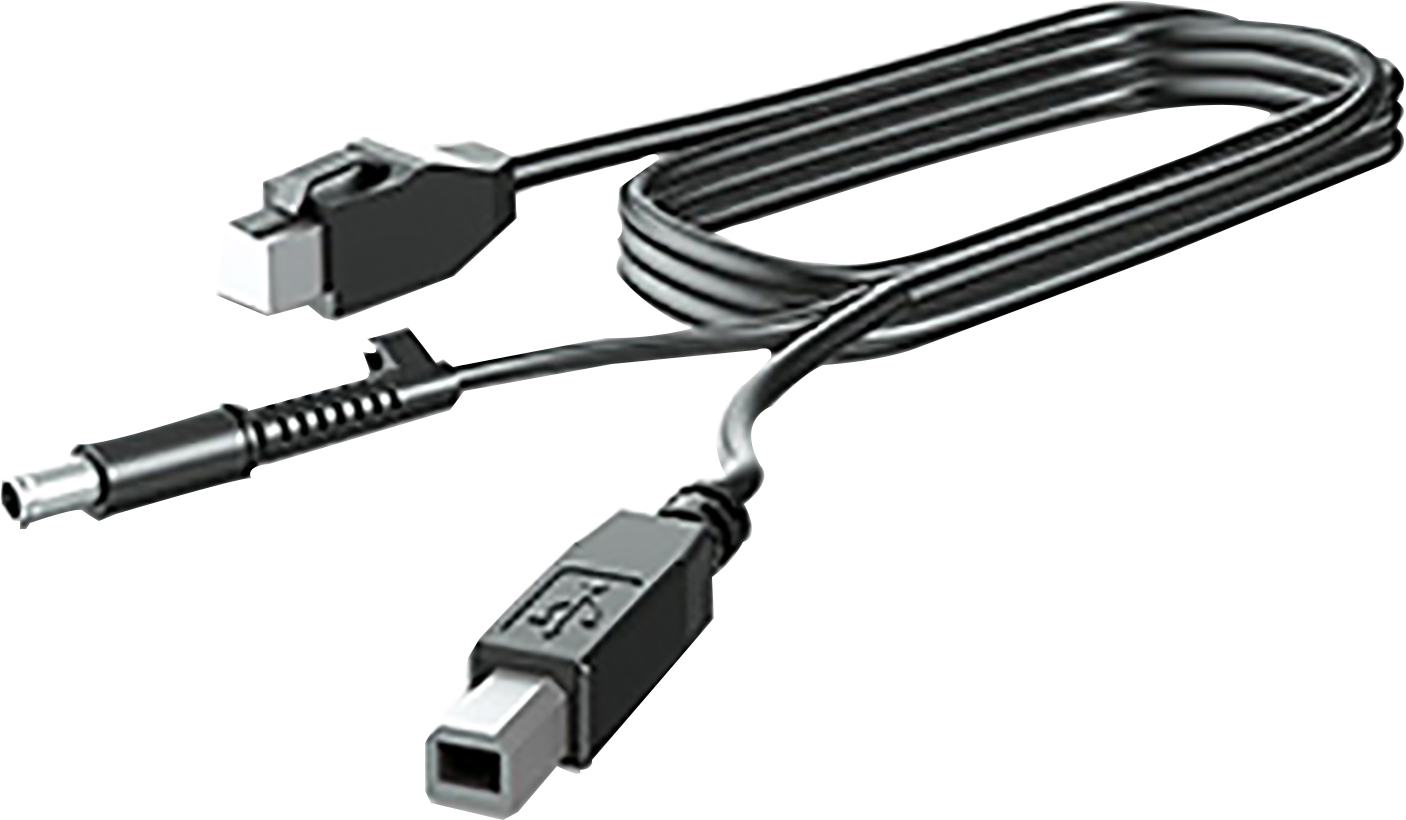 HP  DisplayPort-Kabel - DisplayPort (M) bis DisplayPort (M)
